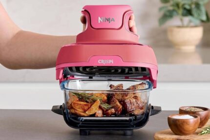 Ninja CRISPi Cerise FN101EUDR
